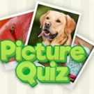 Picture Quiz - free online game