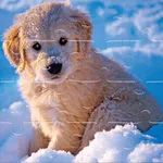 Winter Pets Puzzle - free online game