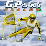 GP Ski Slalom - free online game