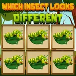 Which Insect Looks Different - free online game