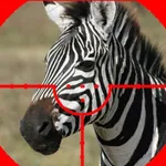 ZEBRA HUNTER - free online game