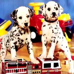 Puppy Pairs Puzzle - free online game